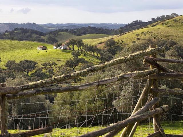 Monte Da Gravita Ribeira do Salto Exterior foto